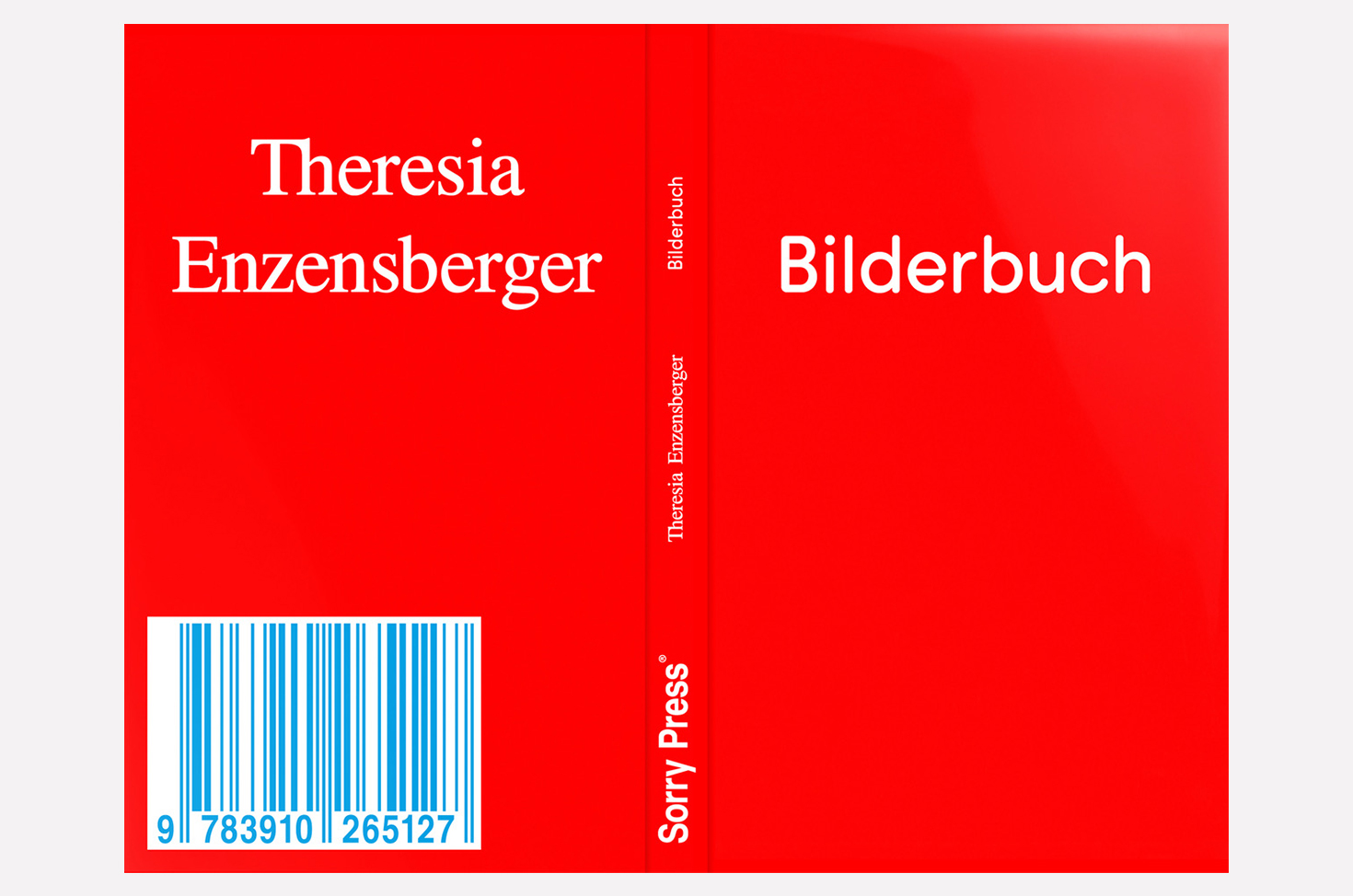 Buchvorstellung Theresia Enzensberger „Bilderbuch“