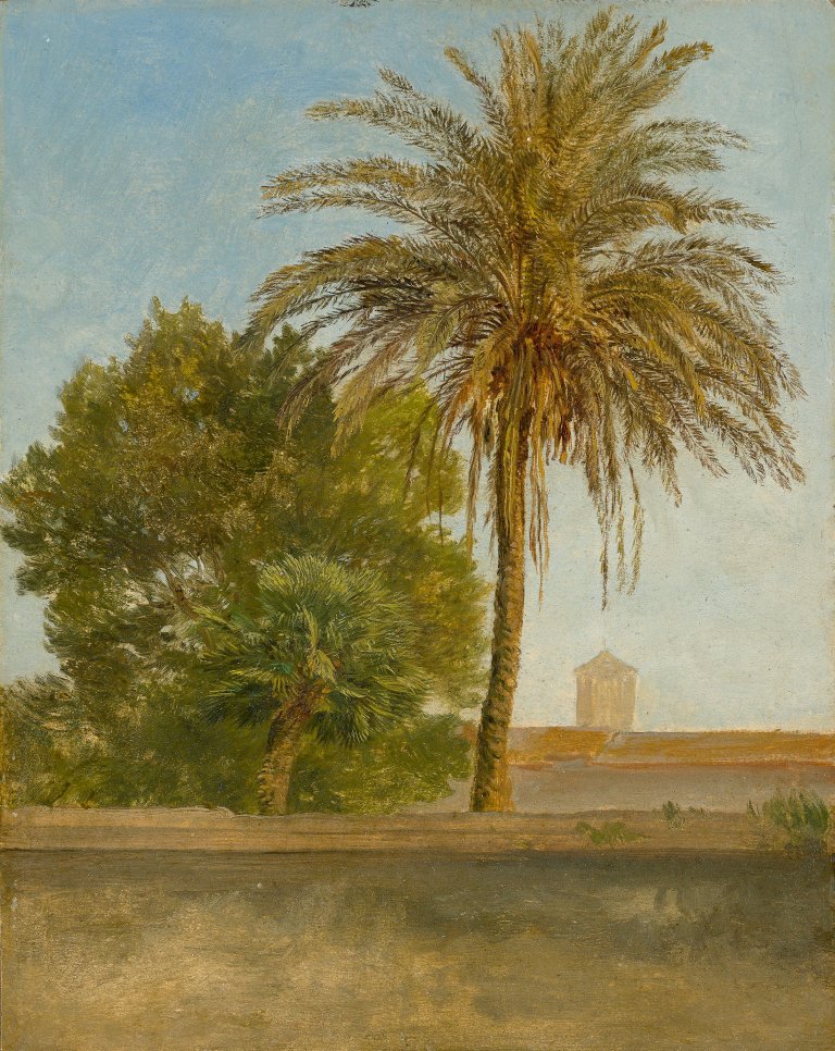 Auf diesem Bild ist das folgende Kunstwerk zu sehen: Friedrich Loos. Die Palme bei San Francesco a Ripa Grande. Um 1848.