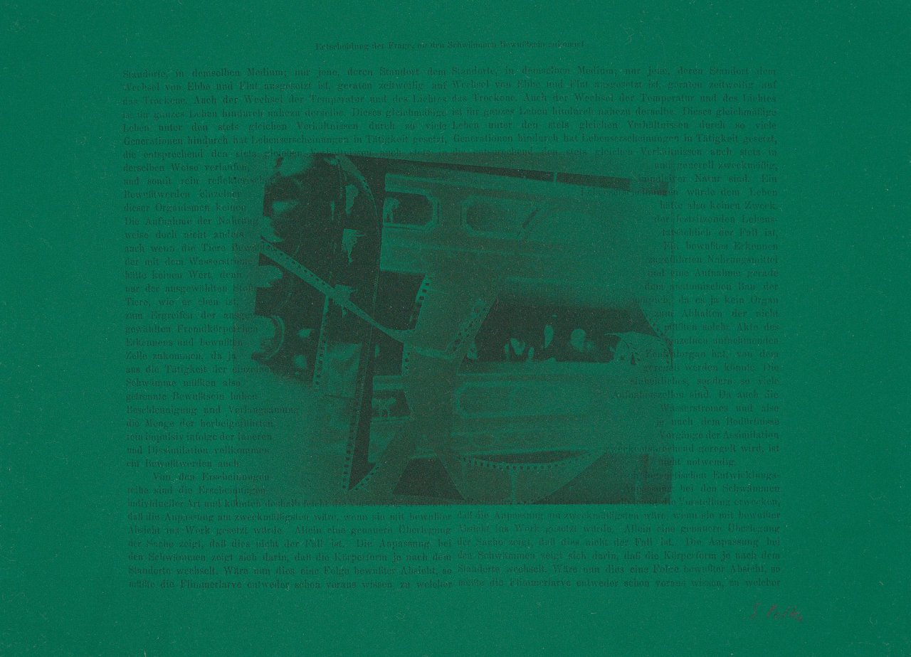 This picture shows the following artwork: Sigmar Polke. „In der Oper (Entscheidung der Frage, ob den Schwämmen Bewußtsein zukommt)“. 1973.