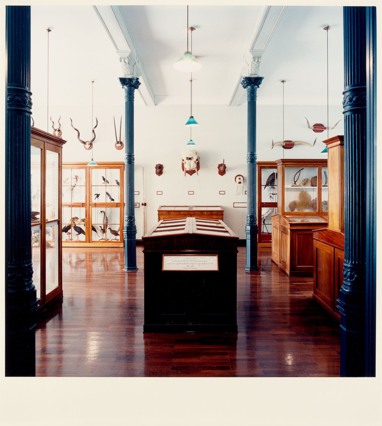 Auf diesem Bild ist das folgende Kunstwerk zu sehen: Candida Höfer. „Staatliches Museum für Naturkunde und Vorgeschichte Oldenburg X 1998“. 1998/99.