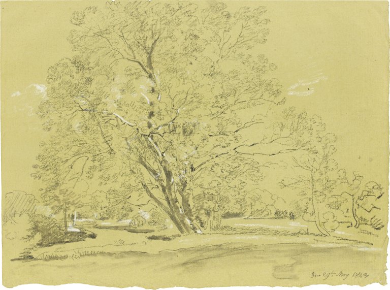 Auf diesem Bild ist das folgende Kunstwerk zu sehen: Johann Georg von Dillis. Baumgruppe im Englischen Garten. 1823.