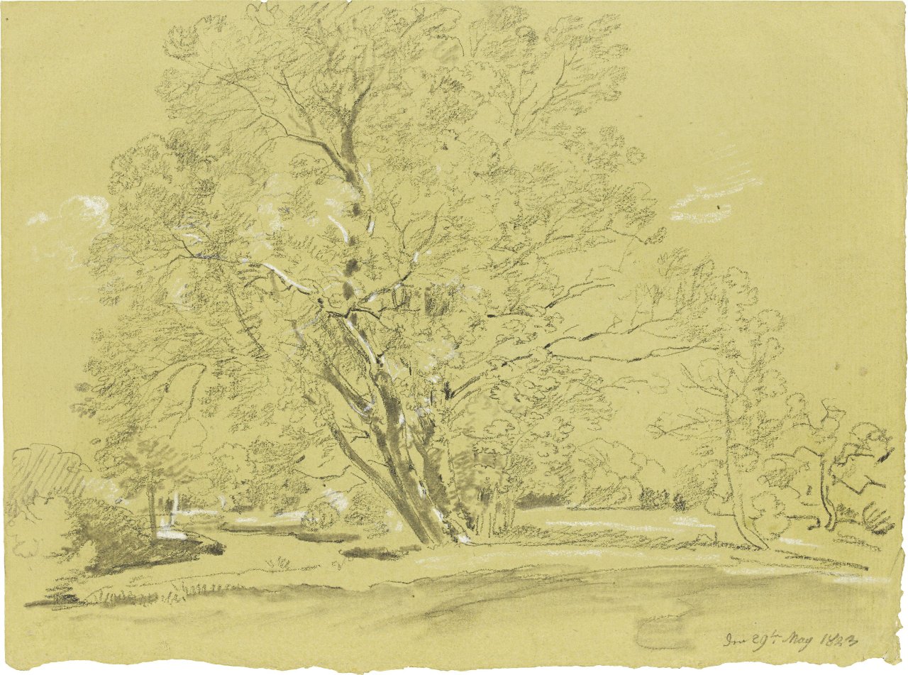 Auf diesem Bild ist das folgende Kunstwerk zu sehen: Johann Georg von Dillis. Baumgruppe im Englischen Garten. 1823.