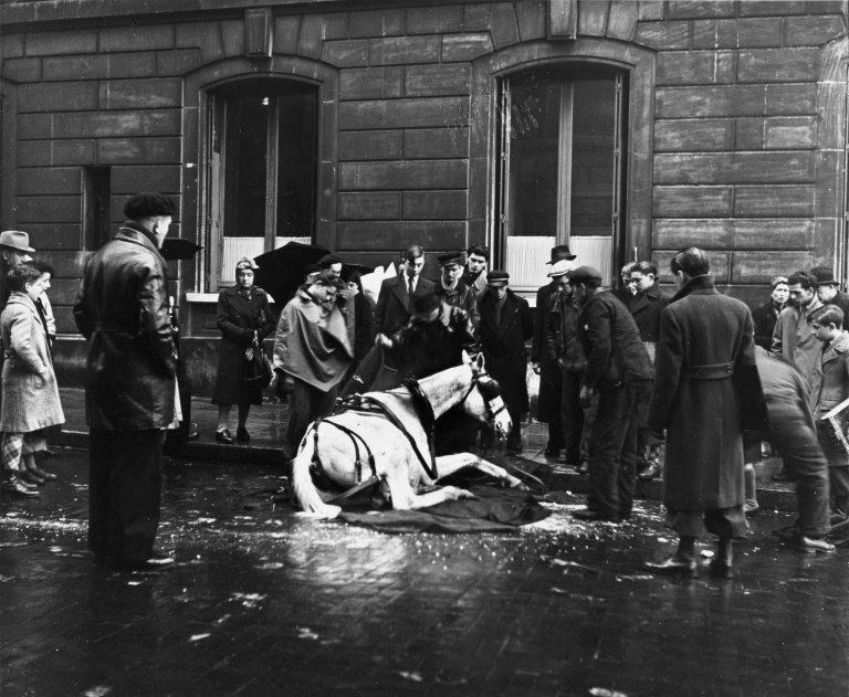 Auf diesem Bild ist das folgende Kunstwerk zu sehen: Robert Doisneau. „Le Cheval Tombé“. 1942.