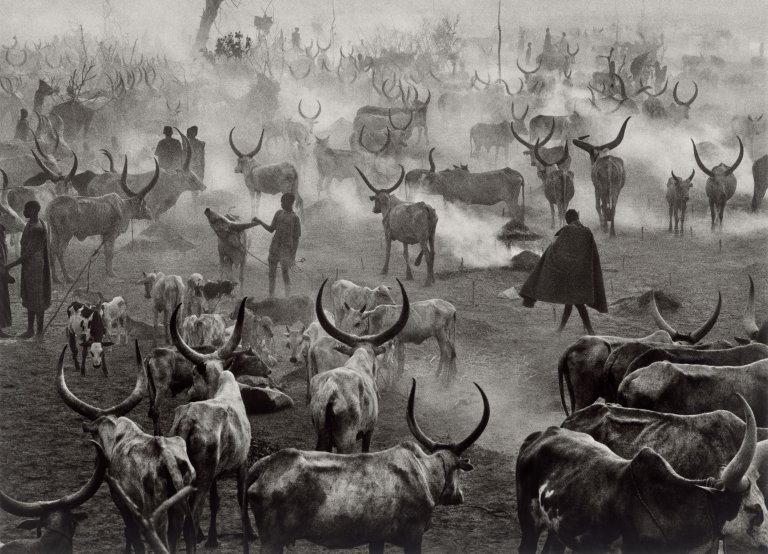 Auf diesem Bild ist das folgende Kunstwerk zu sehen: Sebastião  Salgado. „Sud Soudan“, Dinka Cattle Camp of Amak. 2006.