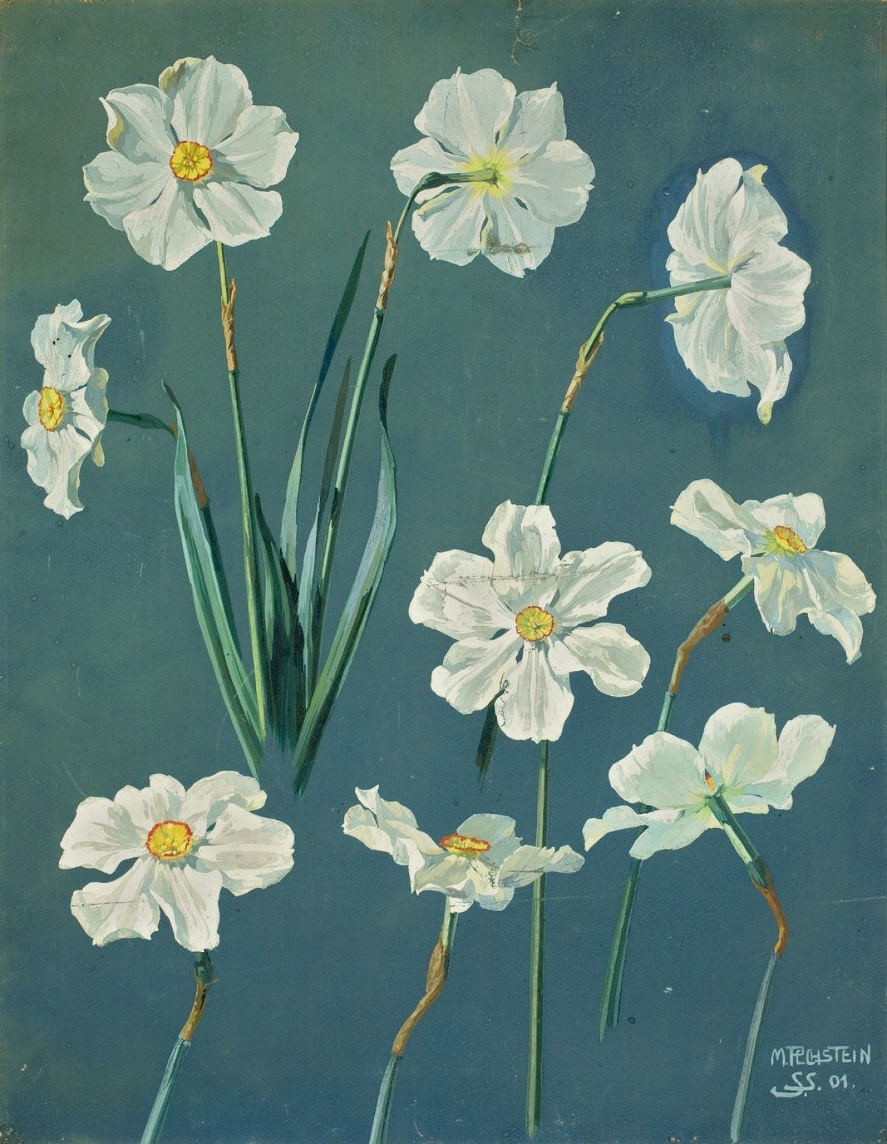Auf diesem Bild ist das folgende Kunstwerk zu sehen: Max Pechstein. Narzissen. 1901.