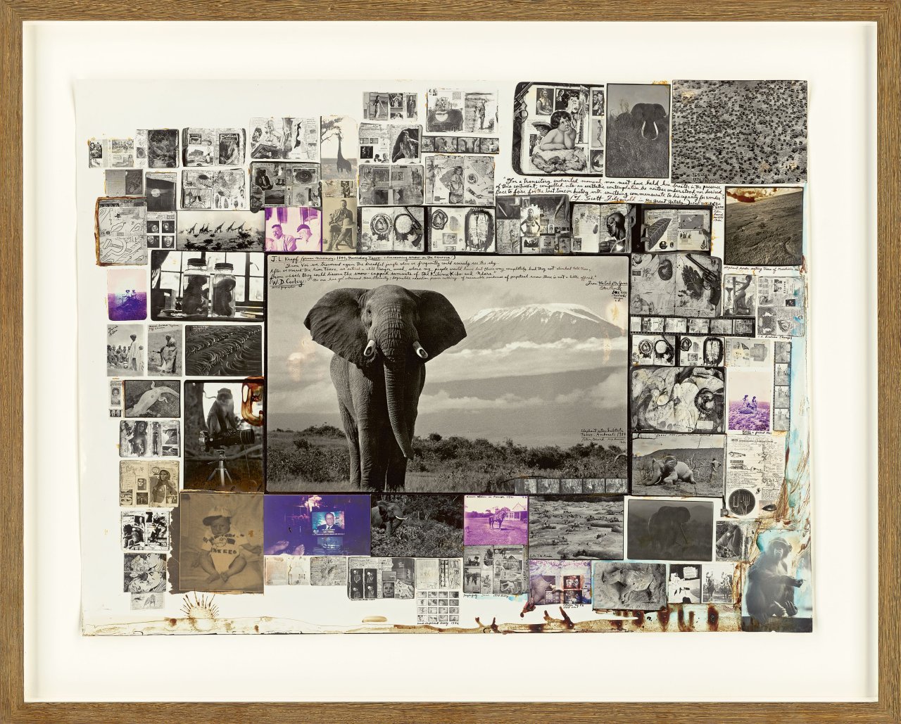 Auf diesem Bild ist das folgende Kunstwerk zu sehen: Peter Beard. Elephant and Kilimanjaro. 1984/2005.