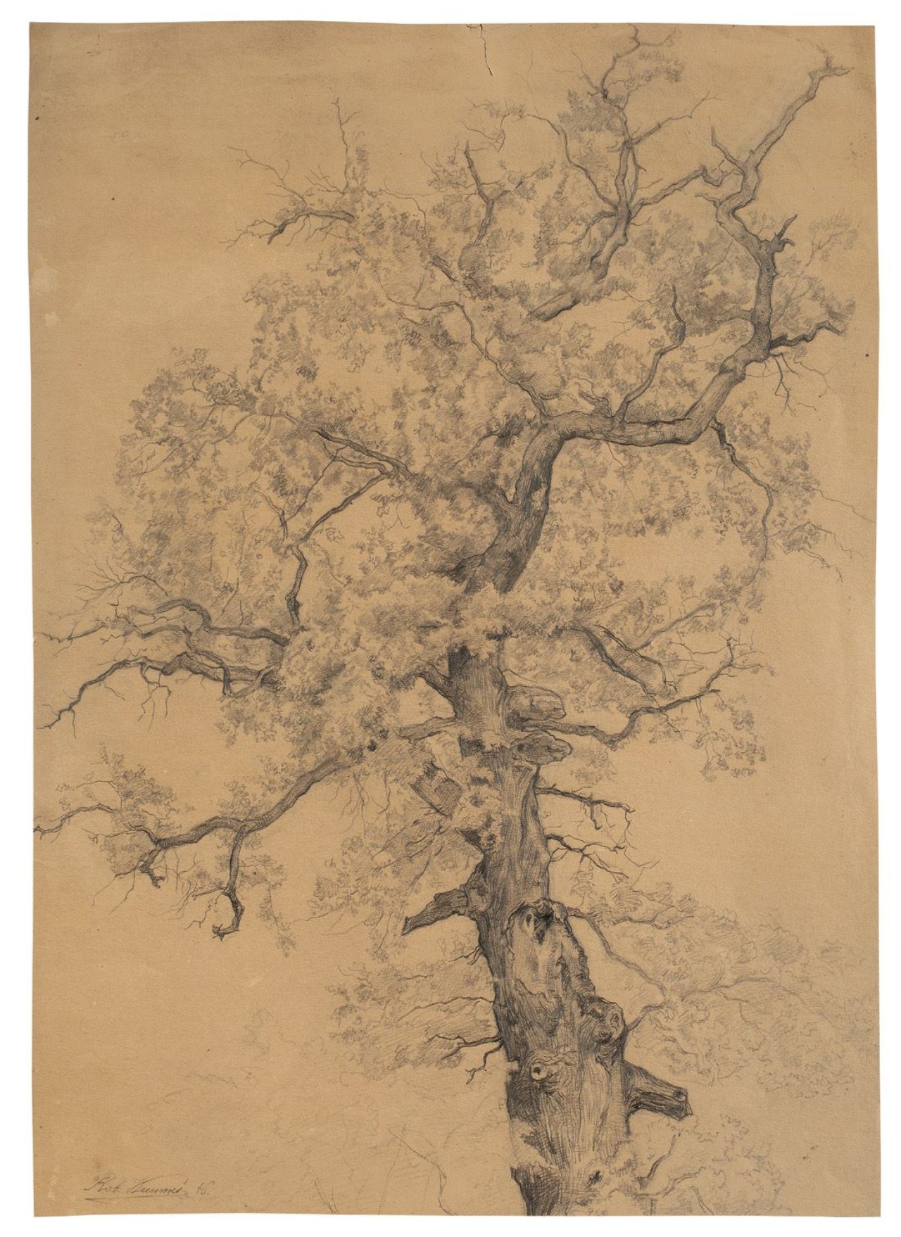 Auf diesem Bild ist das folgende Kunstwerk zu sehen: Carl Robert Kummer. Baumstudie. 1846.