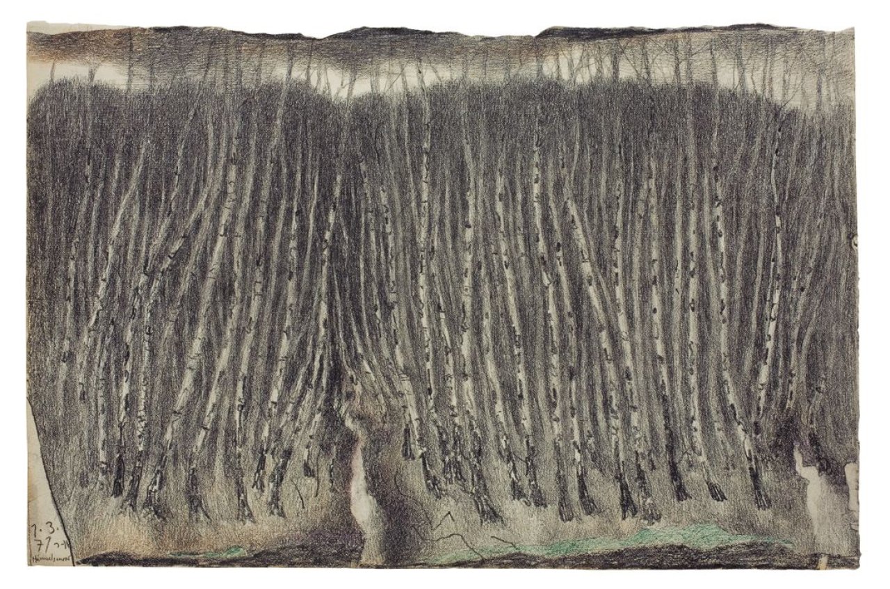 This picture shows the following artwork: Horst Janssen. „Himmelsmoor“. 1971.