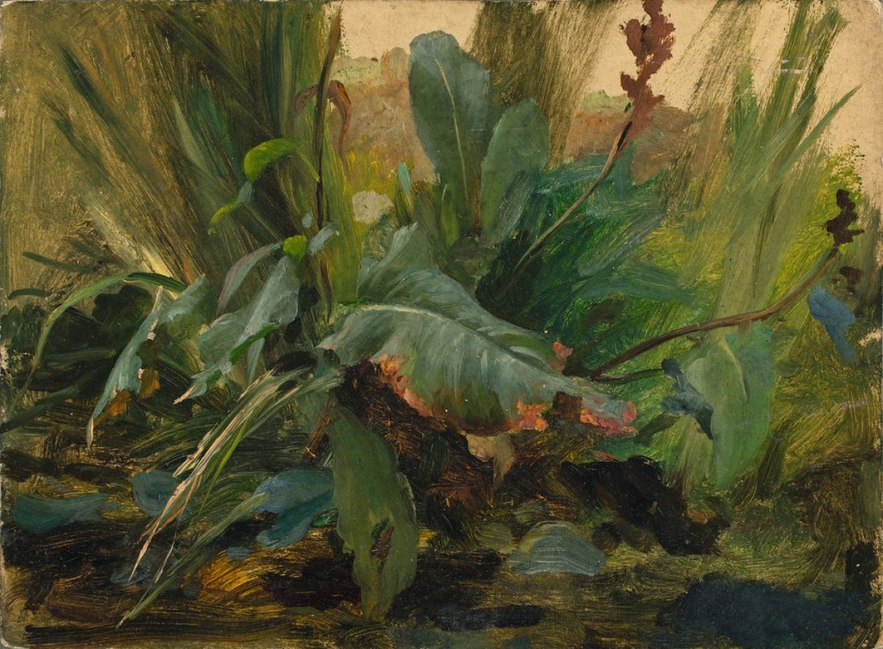 Catalog image of Pflanzenstudie.
