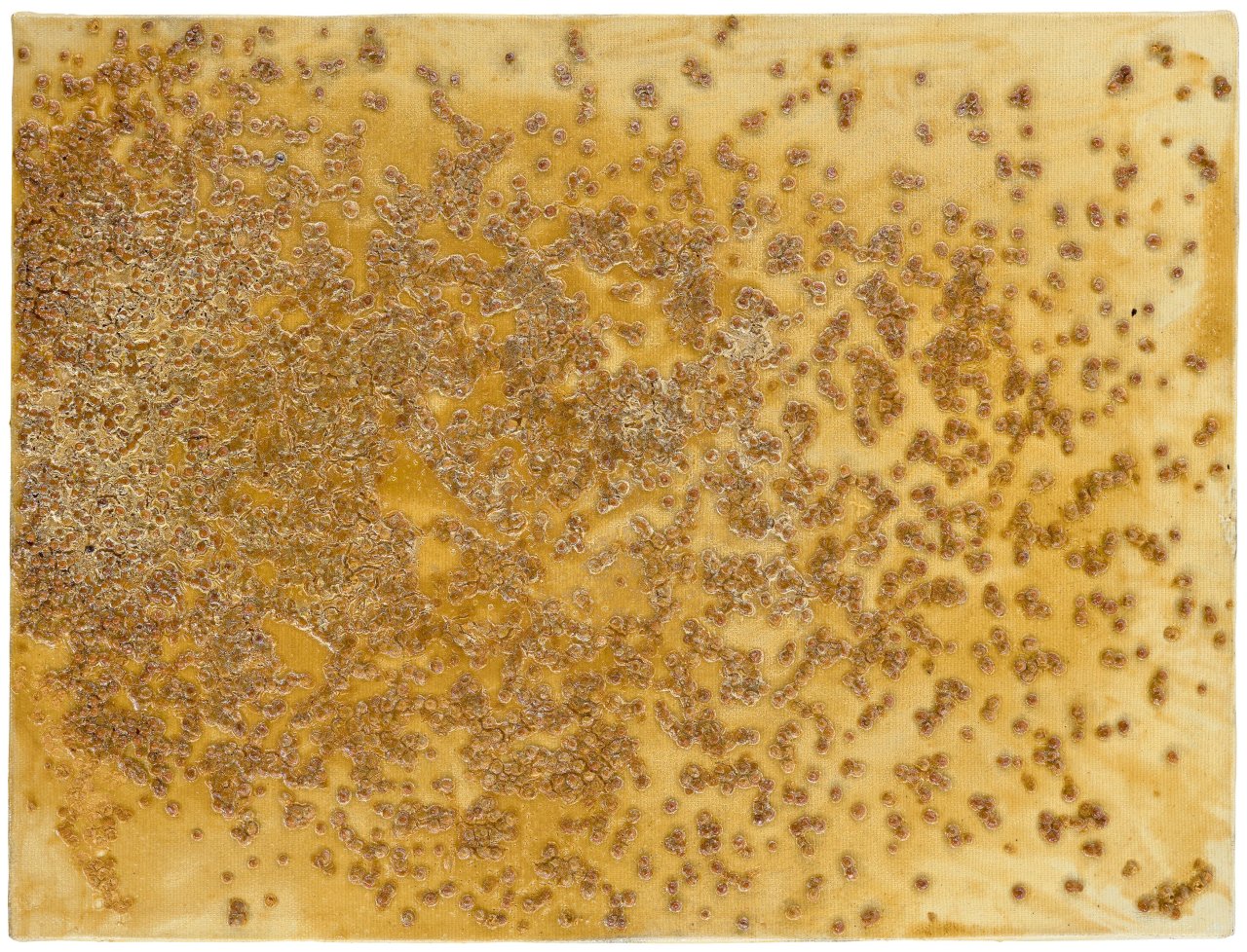 This picture shows the following artwork: Georg Herold. Untitled. 1989.