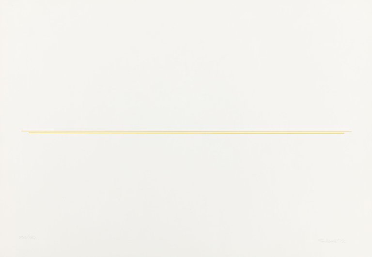 Auf diesem Bild ist das folgende Kunstwerk zu sehen: Fred Sandback. „Parallels“. 1972.