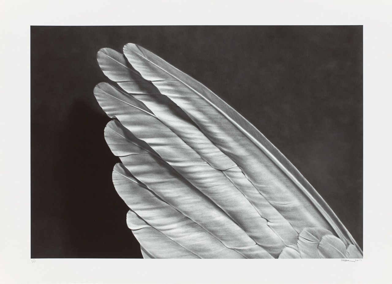 This picture shows the following artwork: Robert Longo. Wing (Small Version). 2013.