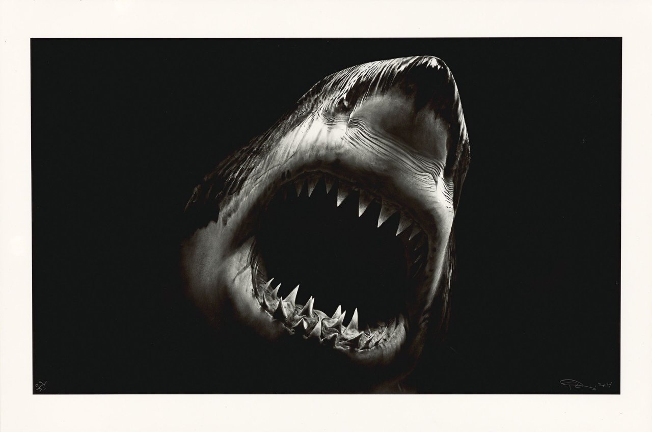 Auf diesem Bild ist das folgende Kunstwerk zu sehen: Robert Longo. „Bruce“. 2014.