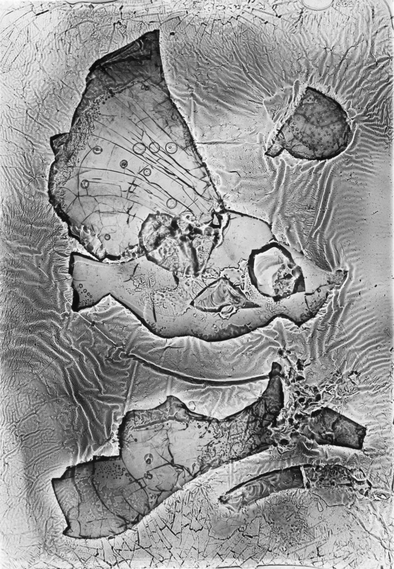 Auf diesem Bild ist das folgende Kunstwerk zu sehen: Heinz Hajek-Halke. „Diluviales Aquarium“. 1962.