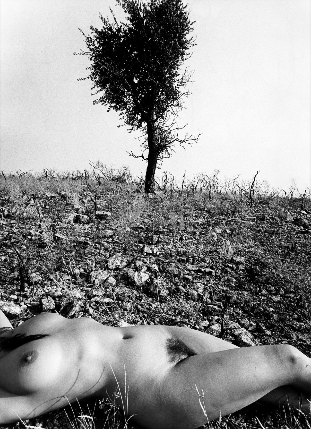 Auf diesem Bild ist das folgende Kunstwerk zu sehen: Lucien Clergue. Ohne Titel, aus der Serie „Nu de la Forêt Calcinée“. 1971.