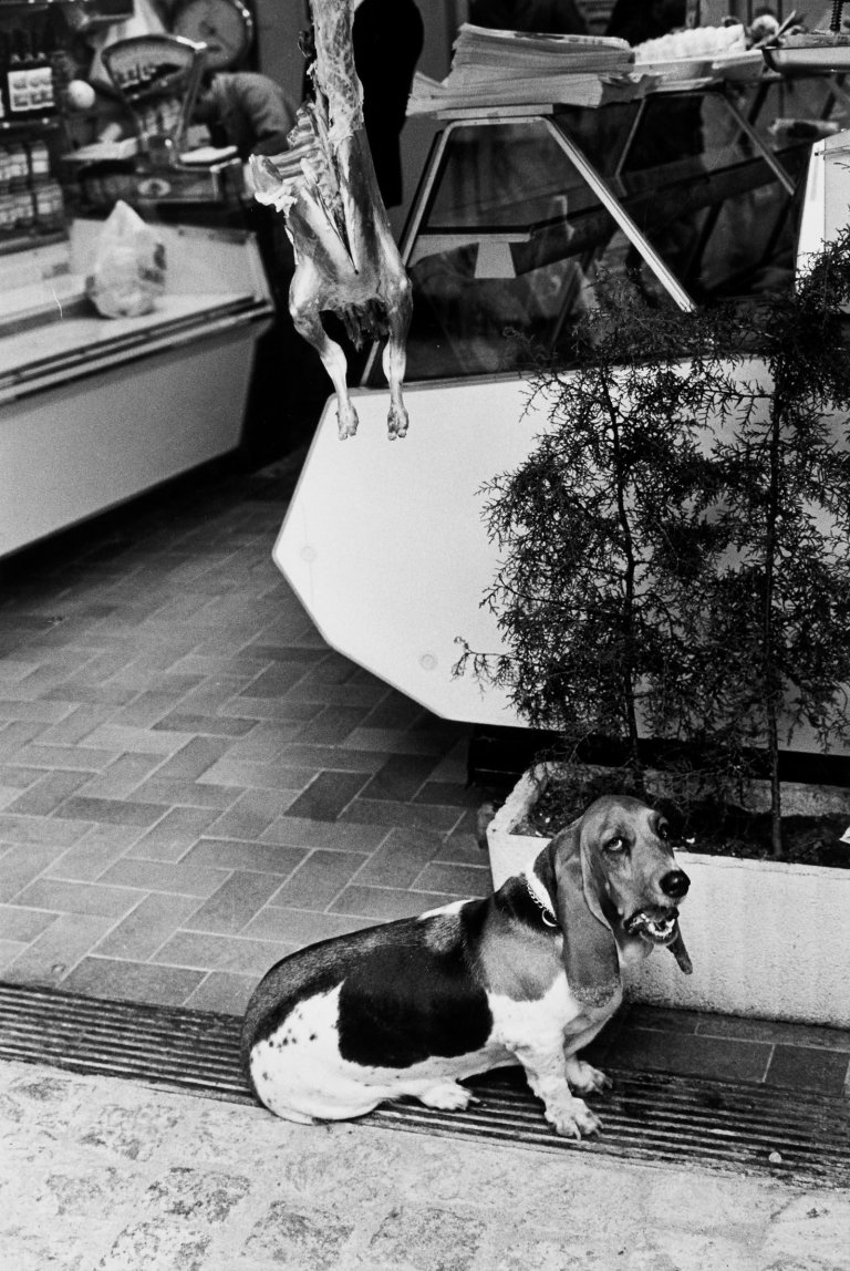 Auf diesem Bild ist das folgende Kunstwerk zu sehen: Elliott Erwitt. „Saint Tropez“. 1979.