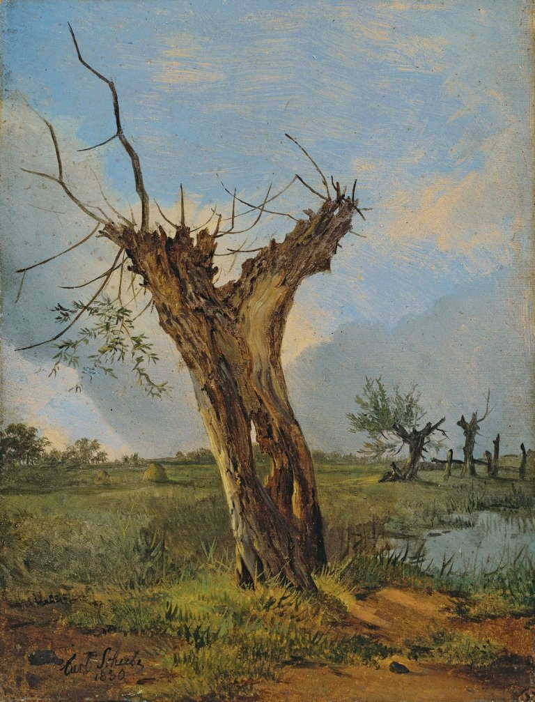 Auf diesem Bild ist das folgende Kunstwerk zu sehen: Carl Friedrich Schulz. Baumstudie. 1830.