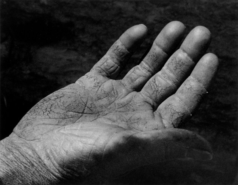 Auf diesem Bild ist das folgende Kunstwerk zu sehen: Roman Vishniac. Worker's Hand, Eastern Europe. Um 1935–1938.