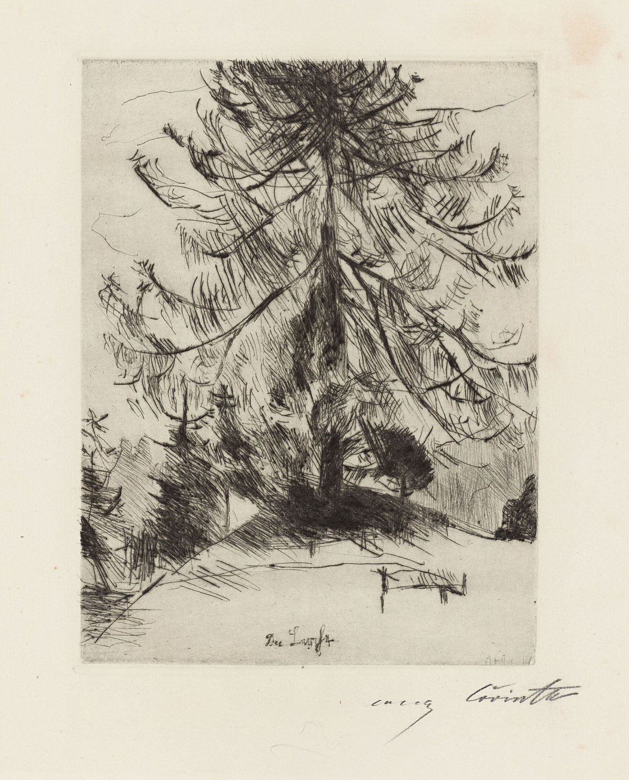 This picture shows the following artwork: Lovis Corinth. „Die Lärche“ / „Lärche am Walchensee“. 1920/1923.