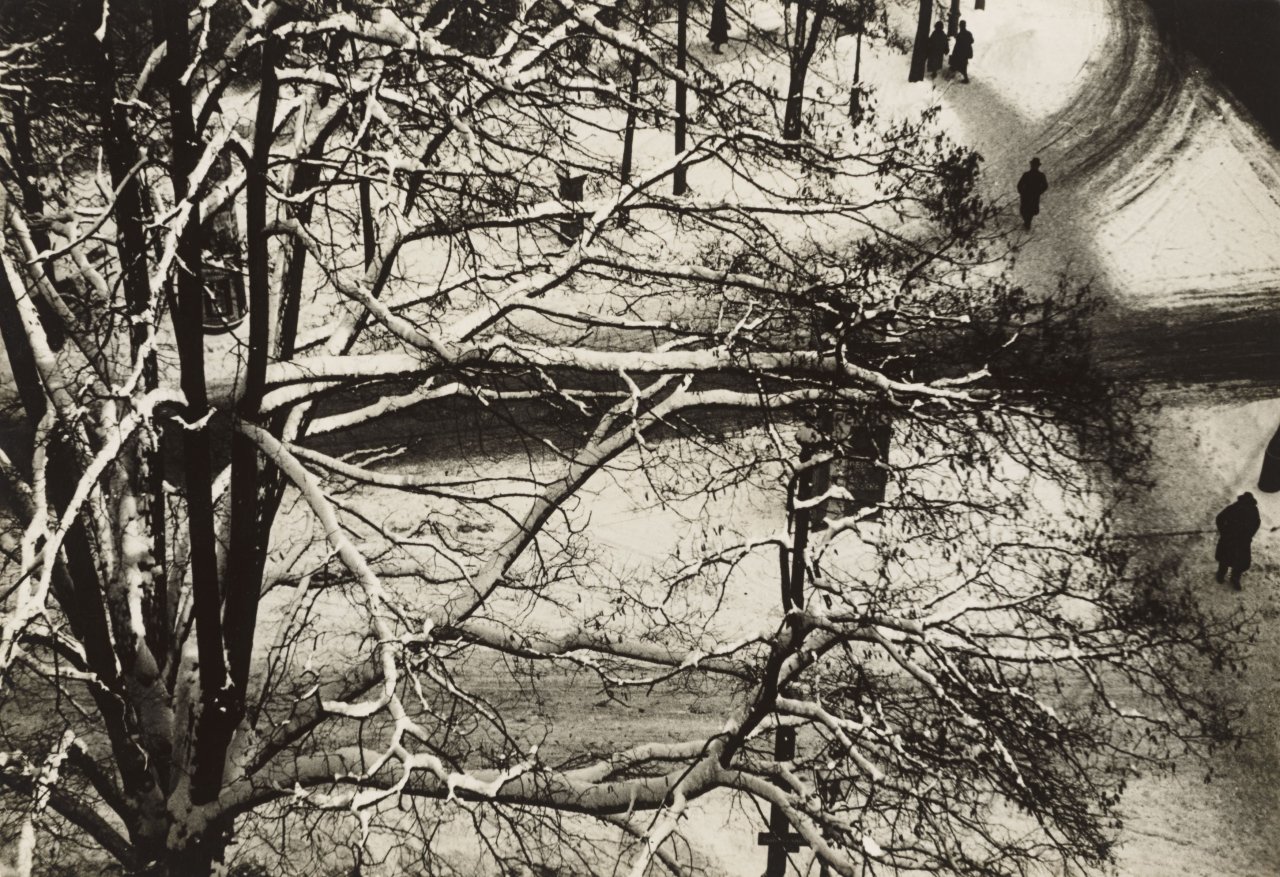 Auf diesem Bild ist das folgende Kunstwerk zu sehen:  Wolff & Tritschler (Dr. Paul Wolff & Alfred Tritschler). Park im Winter. Um 1933.