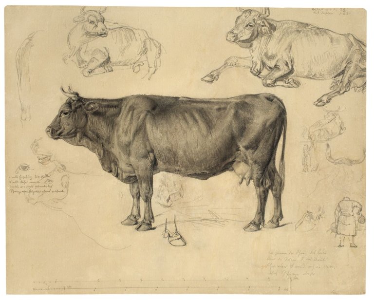 Auf diesem Bild ist das folgende Kunstwerk zu sehen: Christian Friedrich Gille. Rinderstudien (9 Blatt). Um 1846/52.