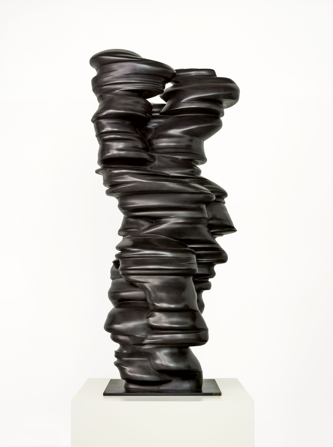 Auf diesem Bild ist das folgende Kunstwerk zu sehen: Tony Cragg. „Different Points Of View“.