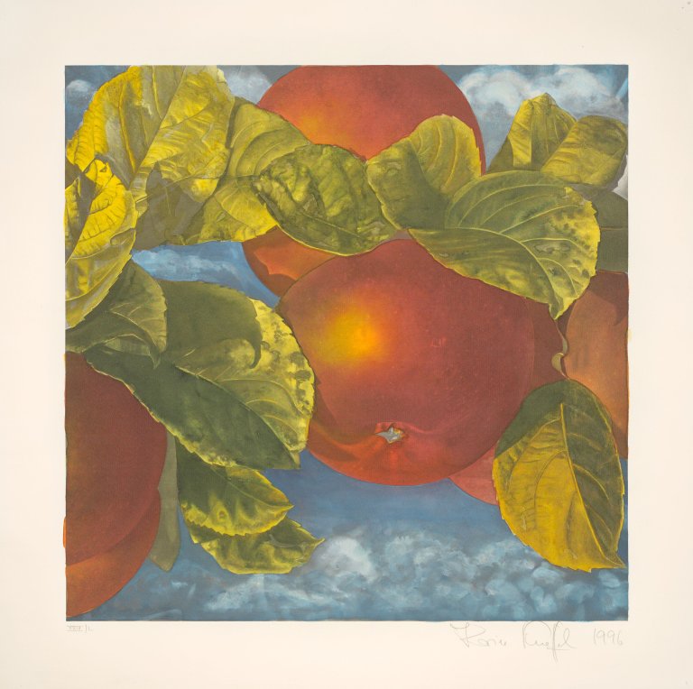 This picture shows the following artwork: Karin Kneffel. Apples. 1996.