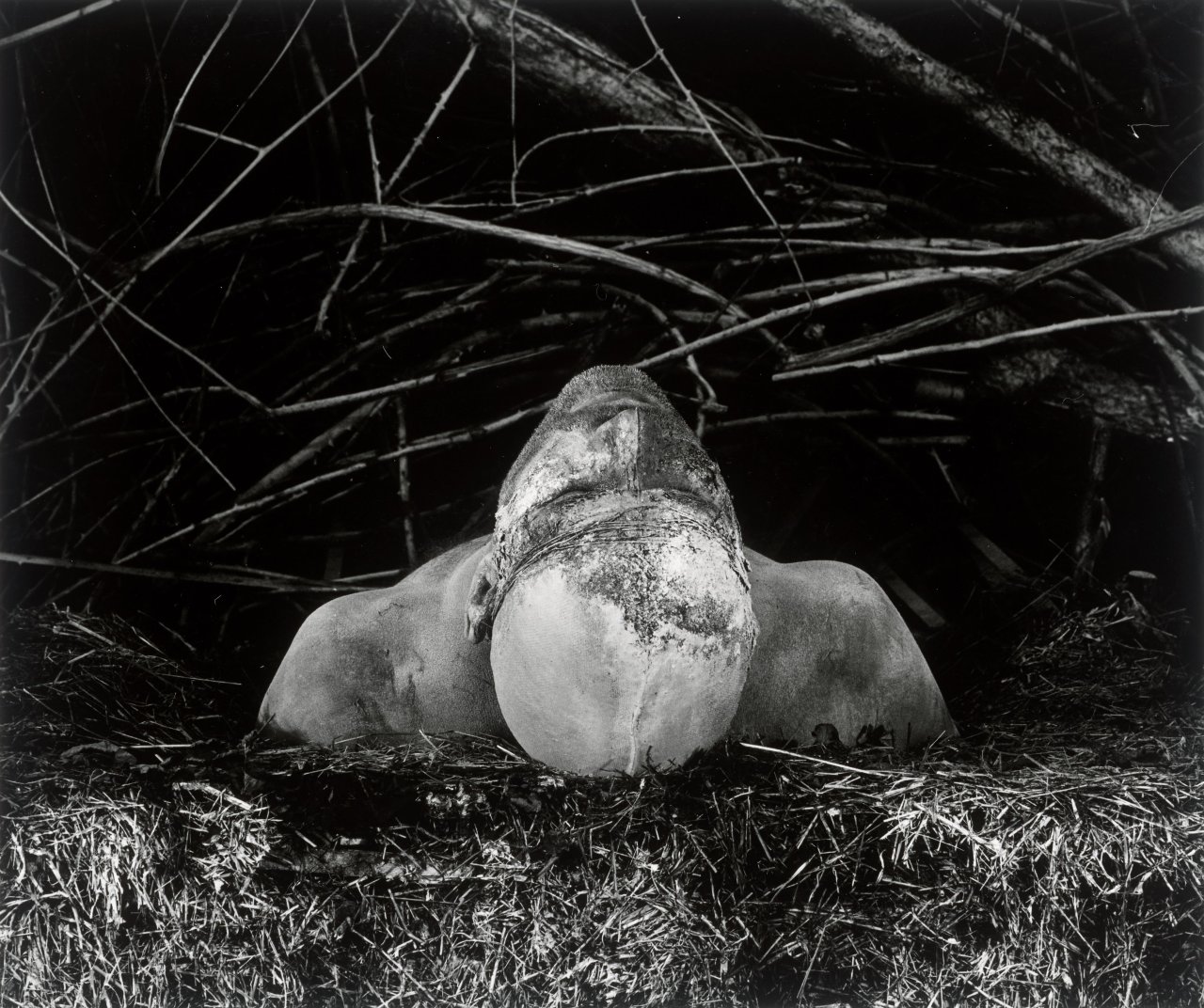 Auf diesem Bild ist das folgende Kunstwerk zu sehen: Dieter Appelt. „Unterm Dornbusch“, aus der Serie „Erinnerungsspur“, 1977–1979. 1977.