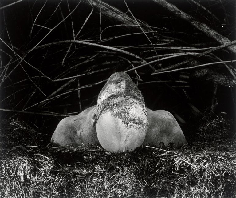 Auf diesem Bild ist das folgende Kunstwerk zu sehen: Dieter Appelt. „Unterm Dornbusch“, aus der Serie „Erinnerungsspur“, 1977–1979. 1977.