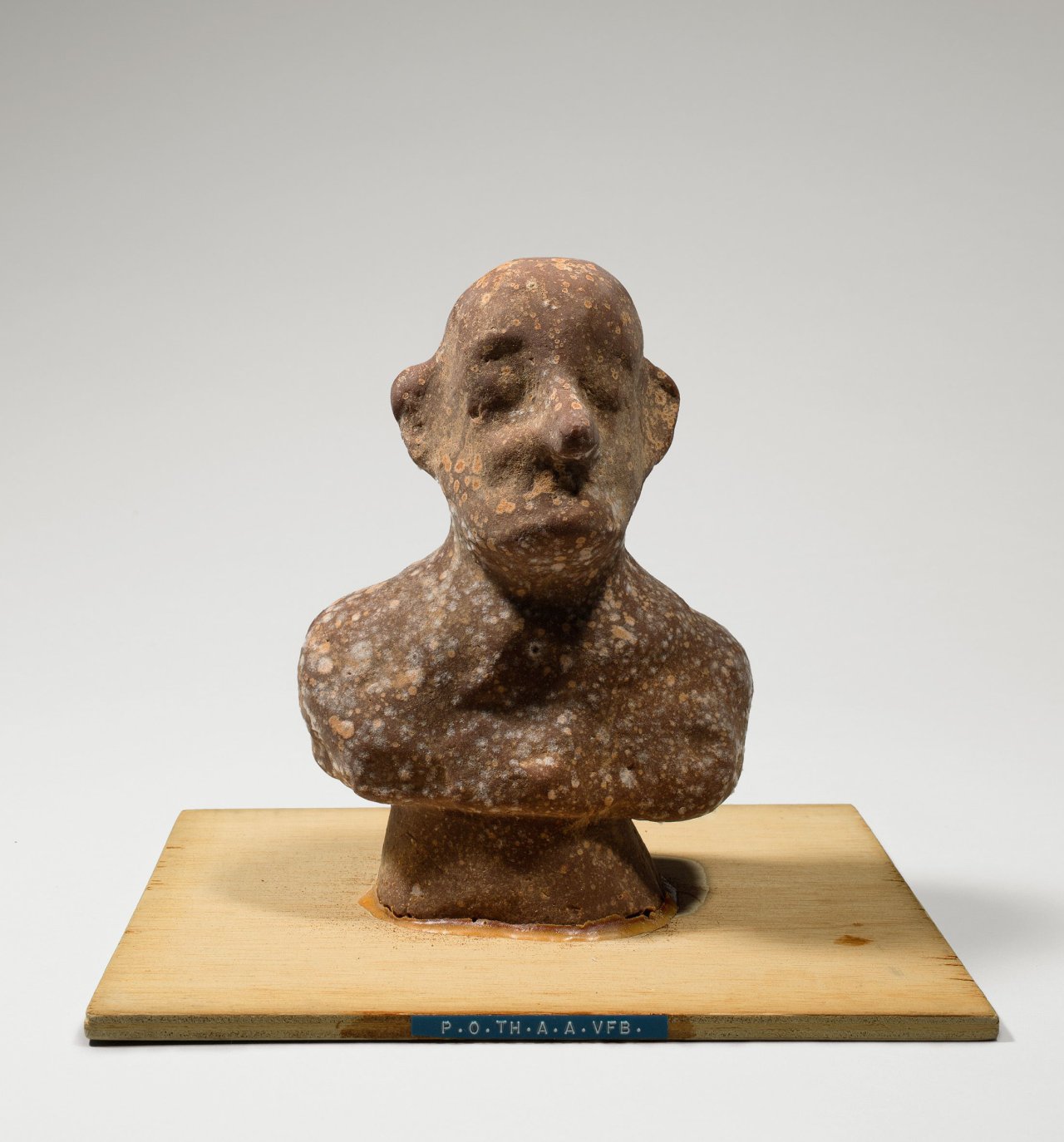Auf diesem Bild ist das folgende Kunstwerk zu sehen: Dieter Roth. „P.O.TH.A.A.VFB (Portrait of the artist as Vogelfutterbüste)“. 1968.