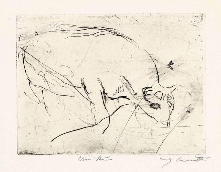 This picture shows the following artwork: Lovis Corinth. „Studie einer Kuh“. 1915.