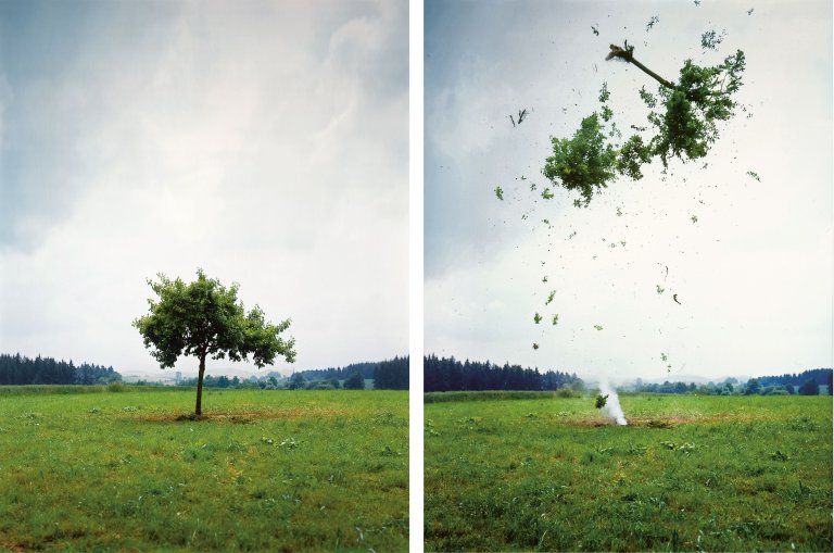 Auf diesem Bild ist das folgende Kunstwerk zu sehen: Michael Sailstorfer. „Raketenbaum 1“. 2008.