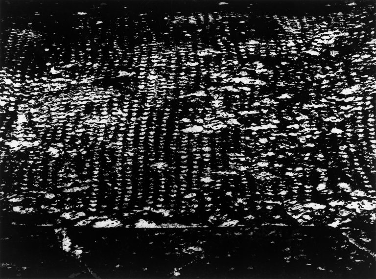 Auf diesem Bild ist das folgende Kunstwerk zu sehen: Otto Steinert. Schwarzwaldhang. 1956.