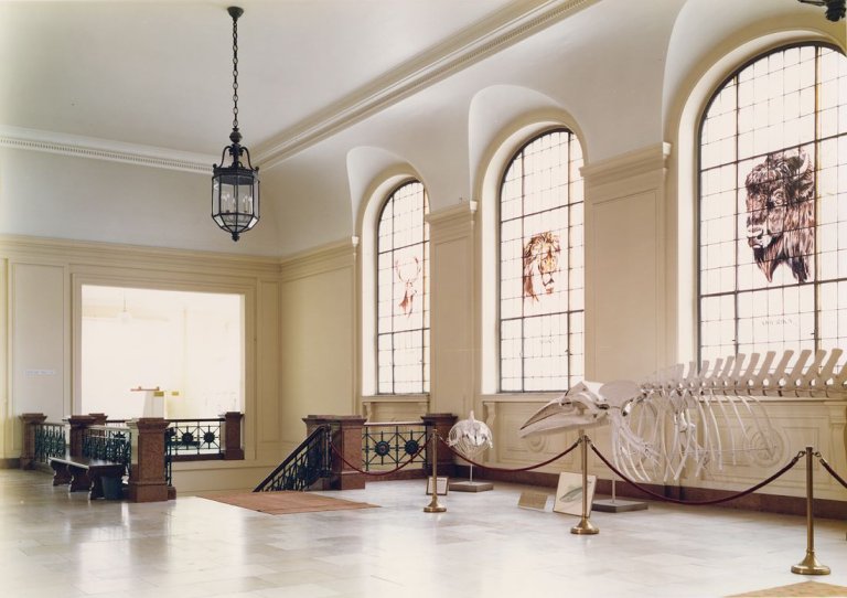 Auf diesem Bild ist das folgende Kunstwerk zu sehen: Candida Höfer. Museum König, Bonn. 1985.