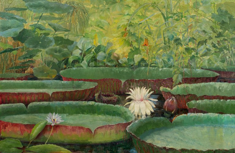 Auf diesem Bild ist das folgende Kunstwerk zu sehen: Karl Zorn. Victoria regia. 1920er-Jahre.