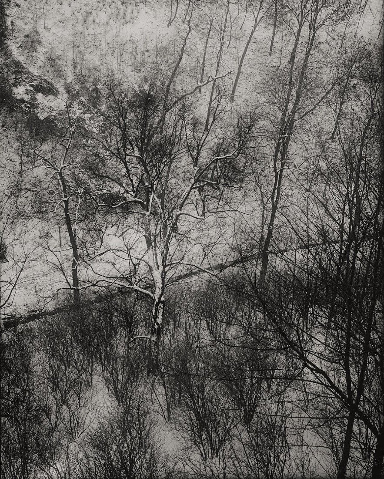 Auf diesem Bild ist das folgende Kunstwerk zu sehen: Josef Sudek. Hirschgraben, Prag. Um 1946.