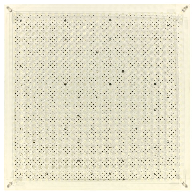 Auf diesem Bild ist das folgende Kunstwerk zu sehen: Walter Zehringer. Ohne Titel.