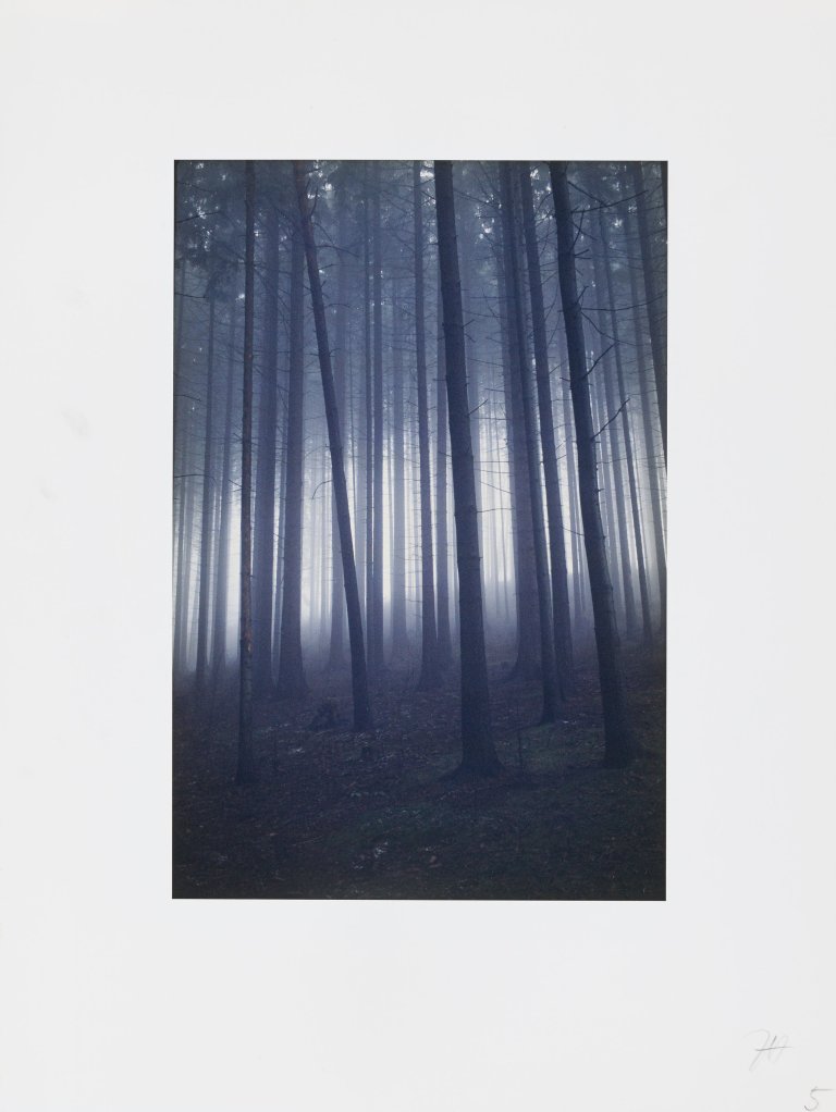 Auf diesem Bild ist das folgende Kunstwerk zu sehen: Jitka Hanzlová. „Forest“. 2004.