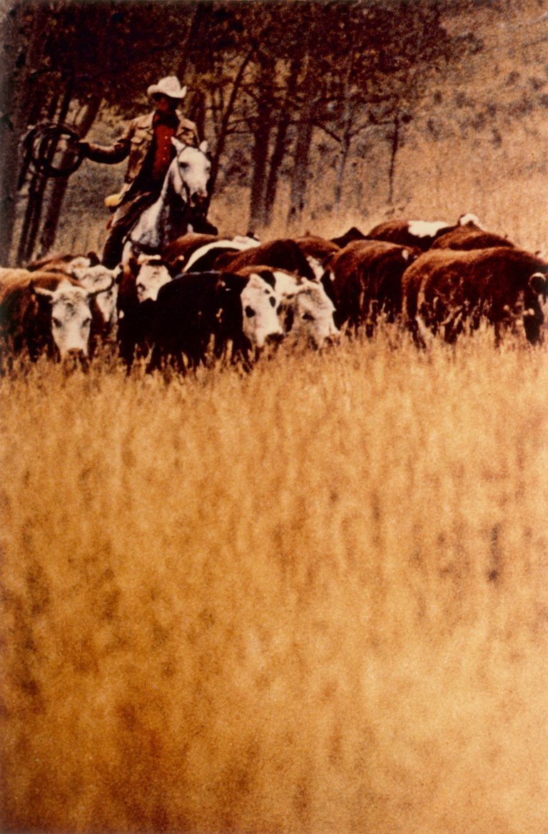 Auf diesem Bild ist das folgende Kunstwerk zu sehen: Richard Prince. Untitled (Cowboy), aus der Mappe „Cowboys and Girlfriends“. 1993.