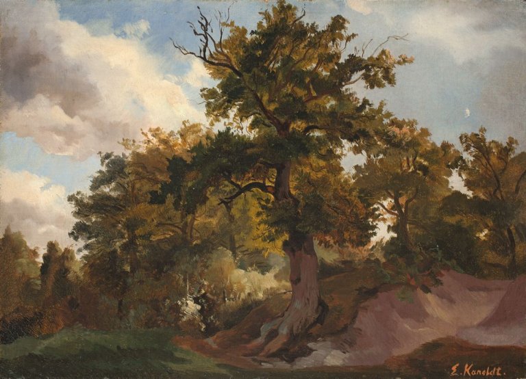 Auf diesem Bild ist das folgende Kunstwerk zu sehen: Edmund Kanoldt. „Eichenwald“. 1867.