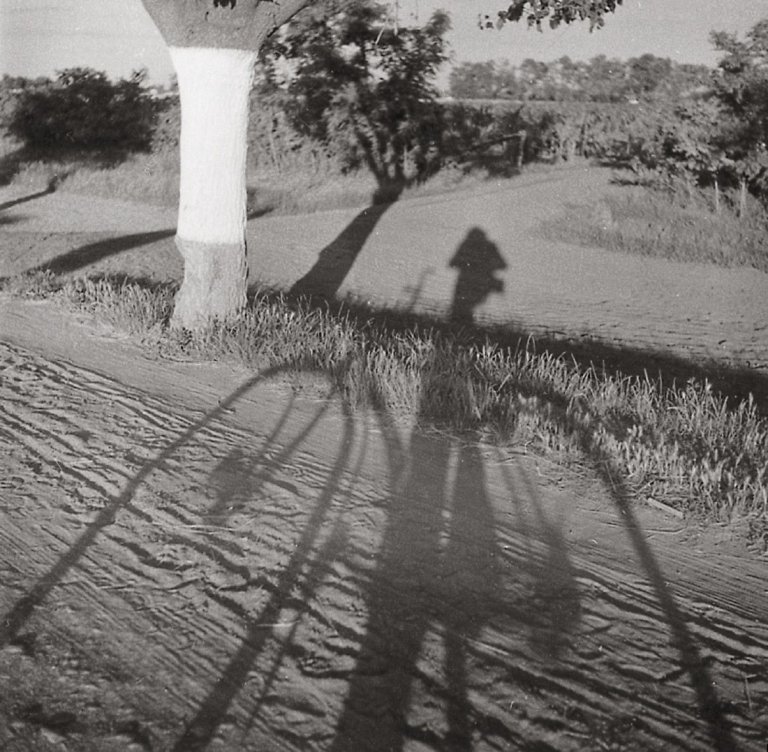 Auf diesem Bild ist das folgende Kunstwerk zu sehen: Imre Kinszki. Ohne Titel (Selbstportrait mit Fahrrad). Um 1930.