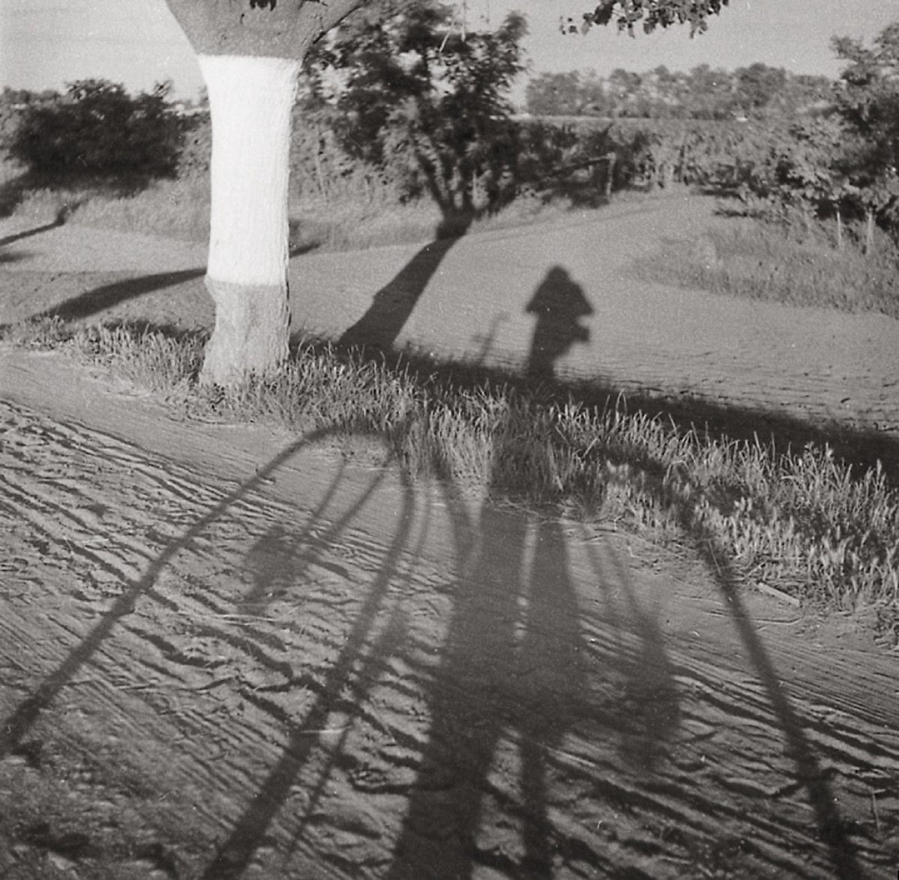 Auf diesem Bild ist das folgende Kunstwerk zu sehen: Imre Kinszki. Ohne Titel (Selbstportrait mit Fahrrad). Um 1930.