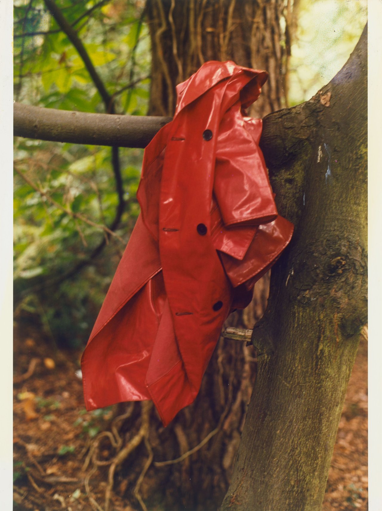 Auf diesem Bild ist das folgende Kunstwerk zu sehen: Wolfgang Tillmans. „red coat“. 1992/96.