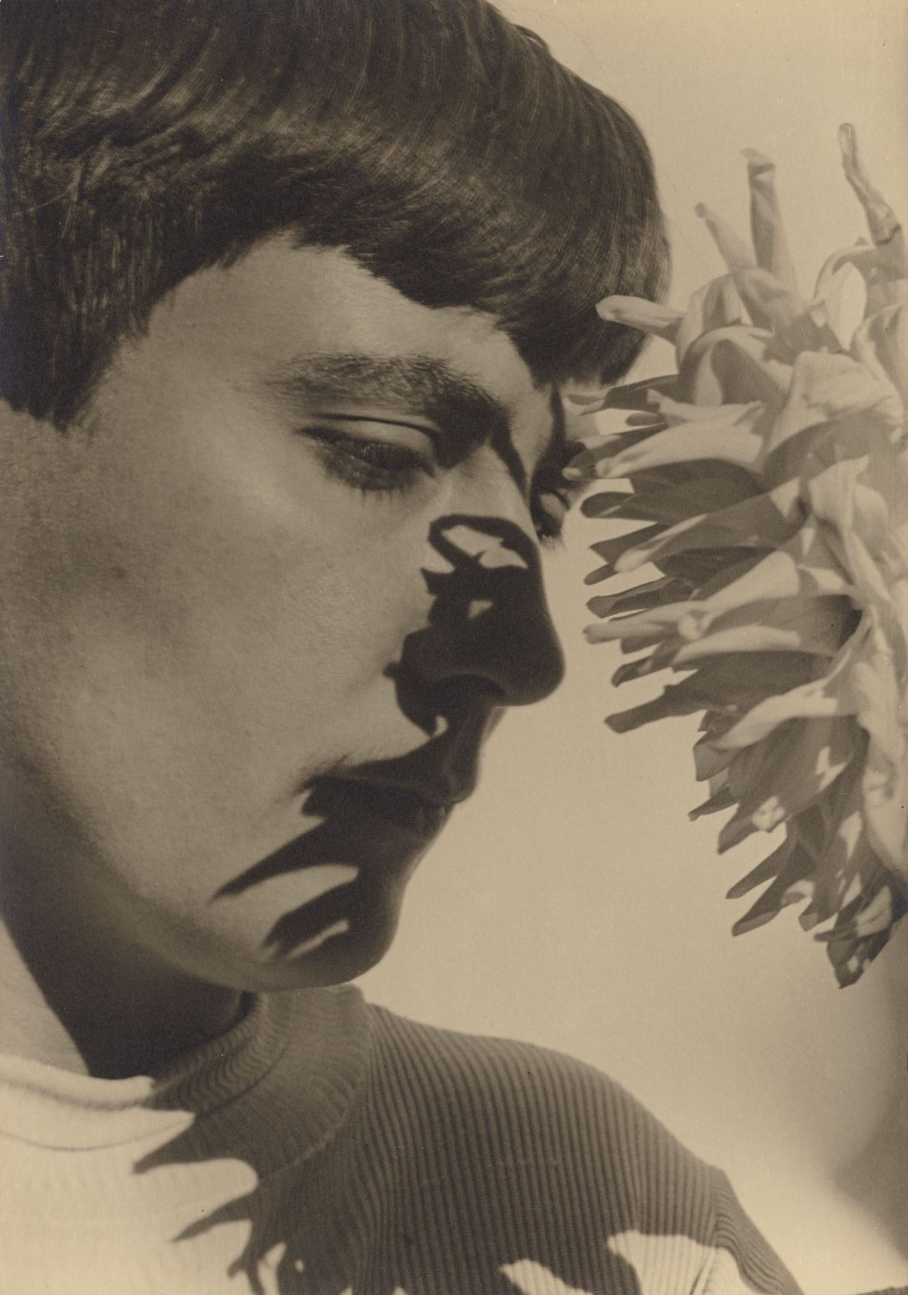 This picture shows the following artwork: Edmund Kesting. „Gerda Kesting“ (profile with floral shadows). 1936.