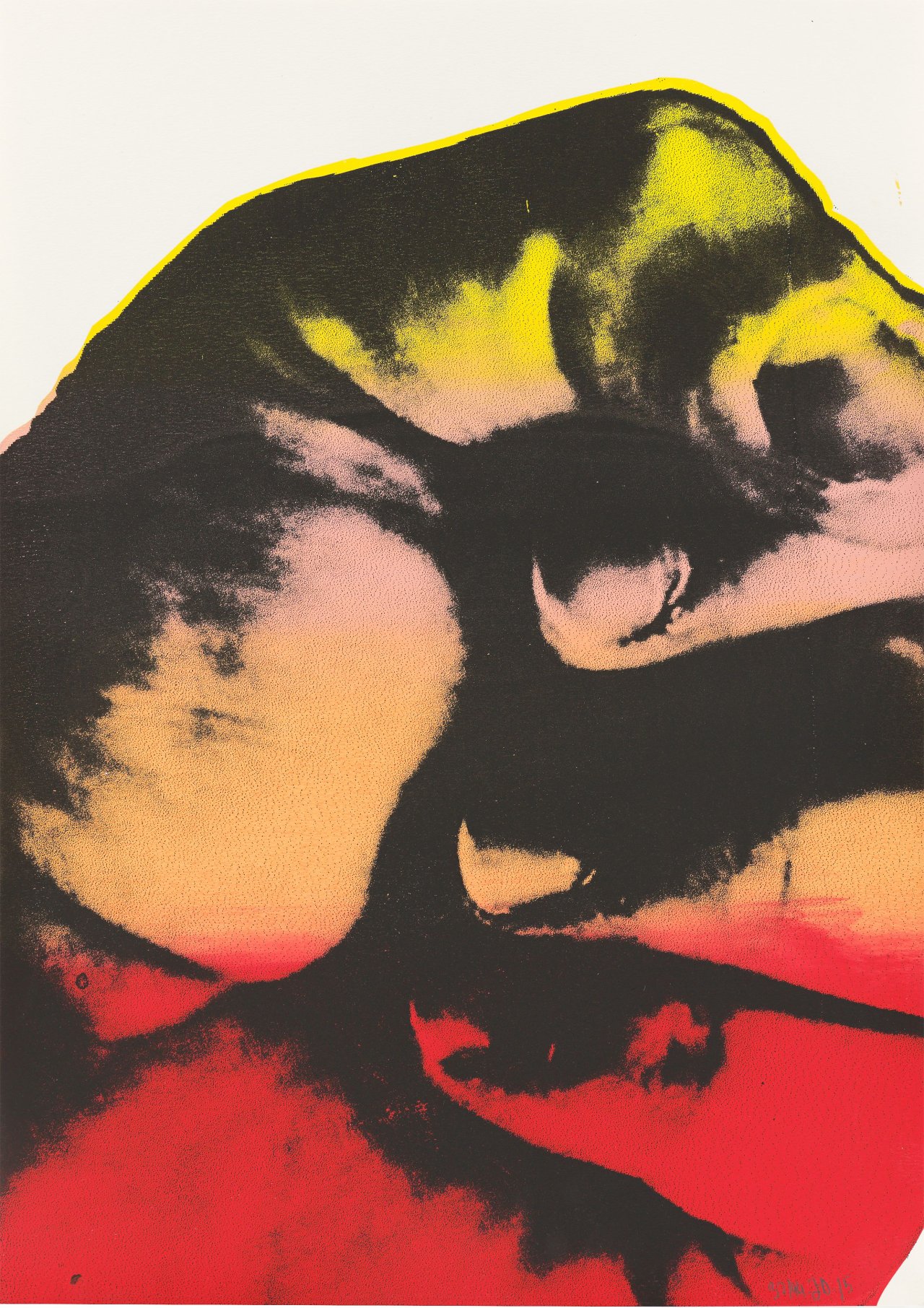 Auf diesem Bild ist das folgende Kunstwerk zu sehen:  Mappenwerk. „NGORONGORO“. 2015.