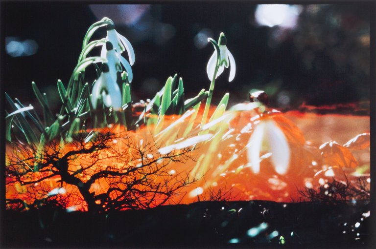 Auf diesem Bild ist das folgende Kunstwerk zu sehen: Peter Fischli und David Weiss. „Blumen“. 1998/2015.