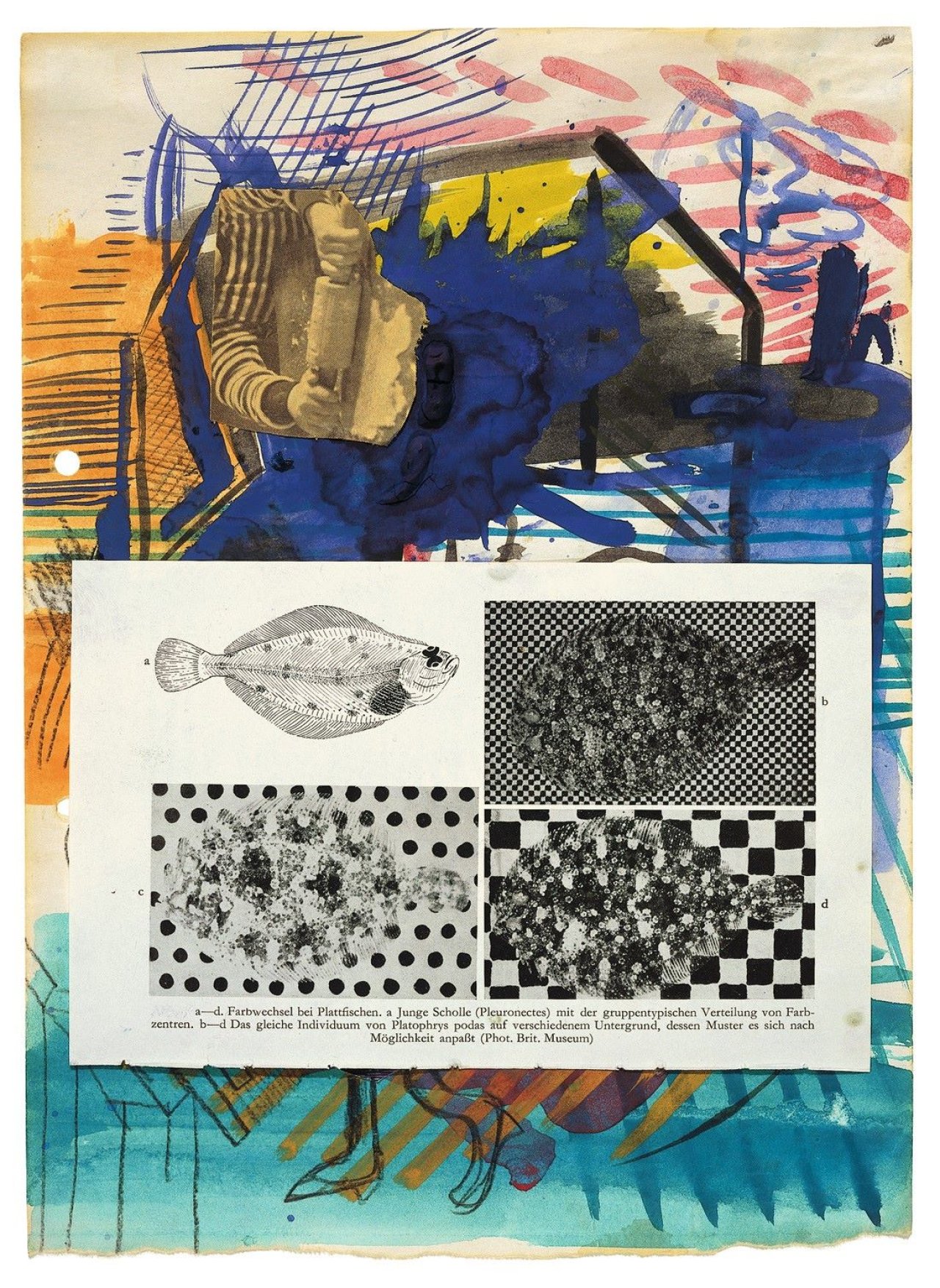 Auf diesem Bild ist das folgende Kunstwerk zu sehen: Sigmar Polke. Farbwechsel bei Plattfischen. 1981.