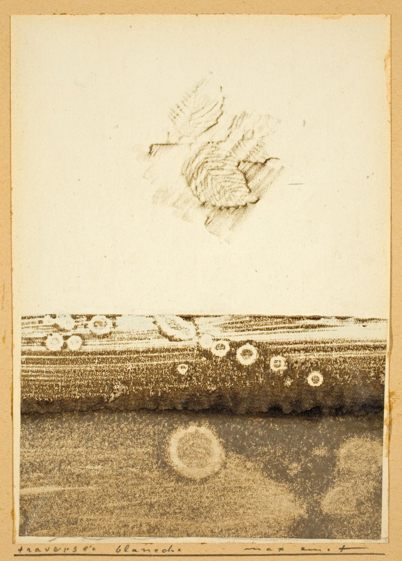 Auf diesem Bild ist das folgende Kunstwerk zu sehen: Max Ernst. „Une traversée blanche et brune“. 1960.