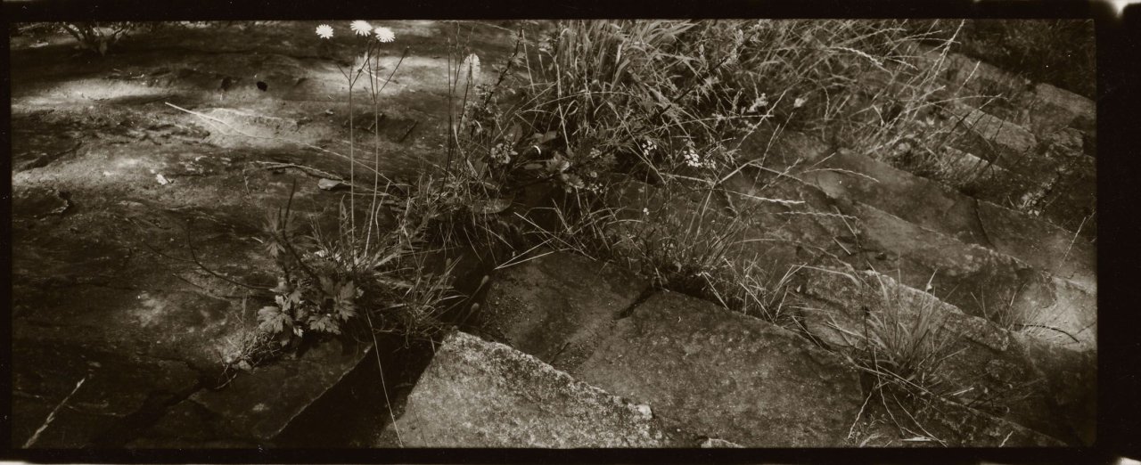 Auf diesem Bild ist das folgende Kunstwerk zu sehen: Josef Sudek. Ohne Titel (Treppe). Vermutlich frühe 1950er Jahre.