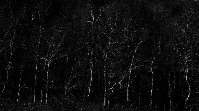 Auf diesem Bild ist das folgende Kunstwerk zu sehen: Harry Callahan. „New Hampshire“. 1961.